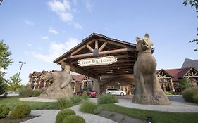 Great Wolf Lodge in Cincinnati